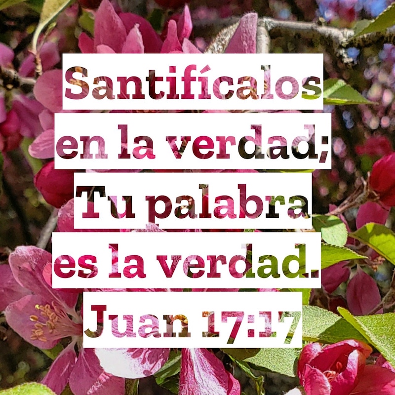 Juan 17:17